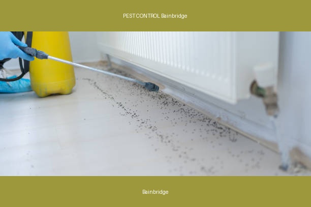 PEST CONTROL Bainbridge